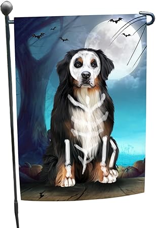 bernese mountain dog halloween