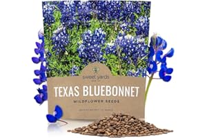 SWEET YARDS Texas Bluebonnet Wildflower Seeds - Bulk 1/2 Ounce Packet - Over 500 Native Seeds - Texas State Flower!