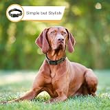 HEELE Reflective Dog Collar Neoprene Padded Nylon Small Army Green S 26-38cm view 7