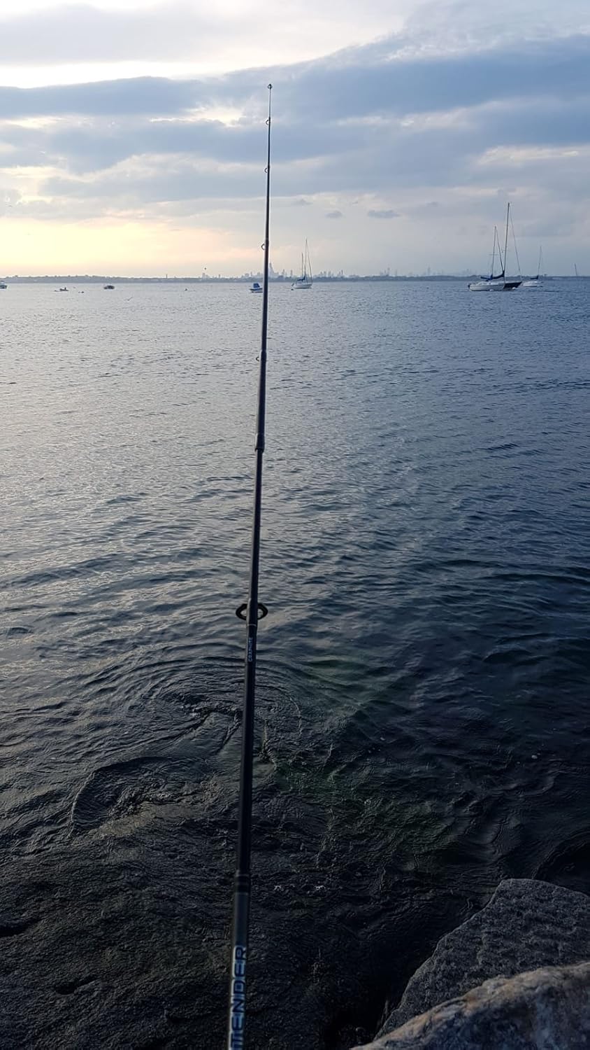 top half of fishing rod