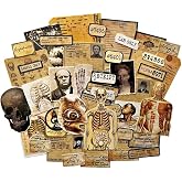 Vilikya 43pcs Dark Aesthetic Ephemera Junk Journal Supplies, Gothic Scrapbook Paper for Macabre Human Anatomy, Vintage Doll Skull Decoupage Paper for Scrapbooking Collage, Room Decor Wall Collage Kit