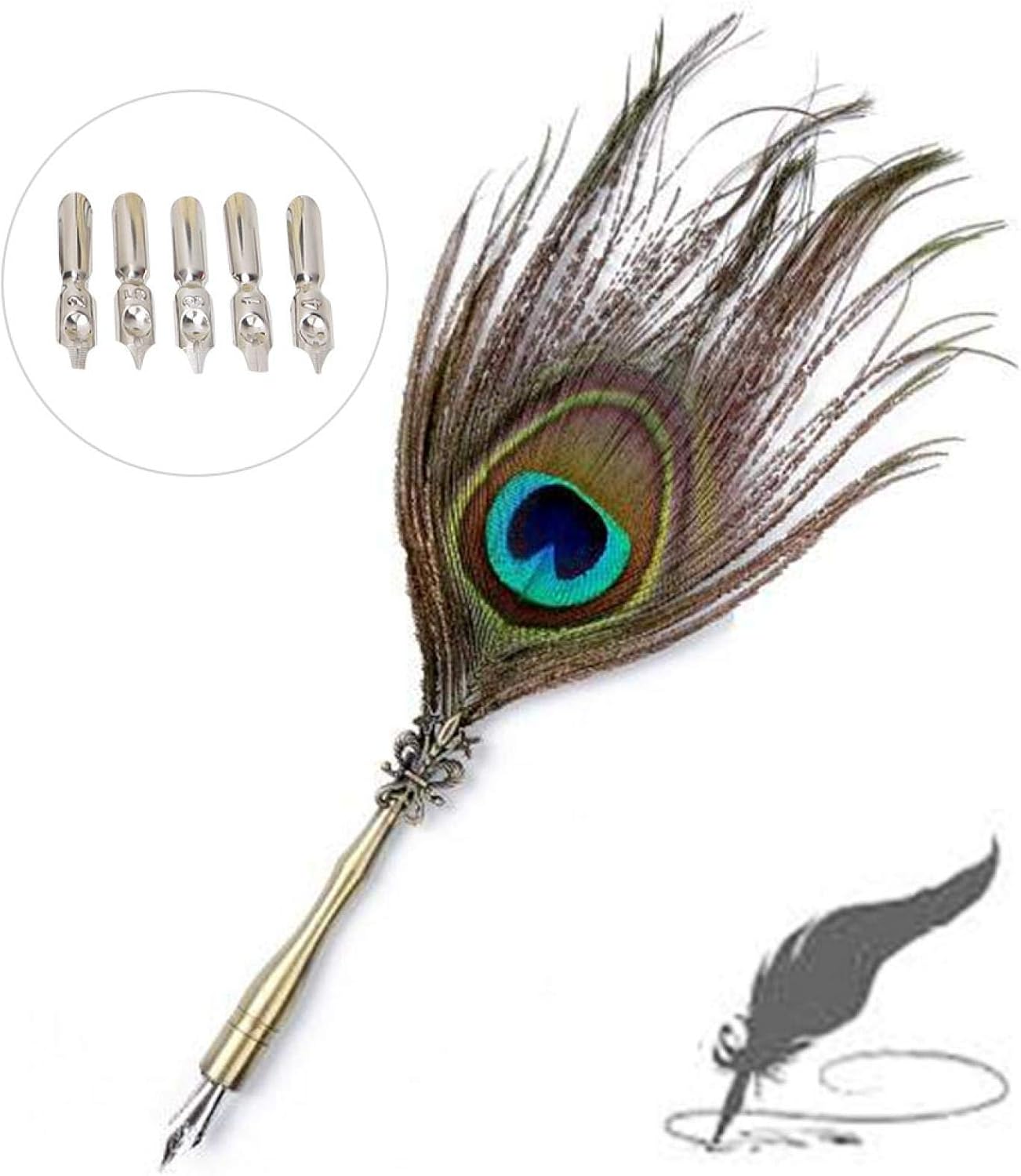 Retro Peacock Feather Quill Fountain Pen Set Calligraphy Dip Pen Kit ...