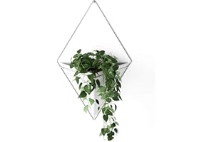 Umbra Trigg Hanging Planter Vase Wall Decor, Pot and Container for Succulents, Cactus, Faux Plants, and More, Large, White/Nickel