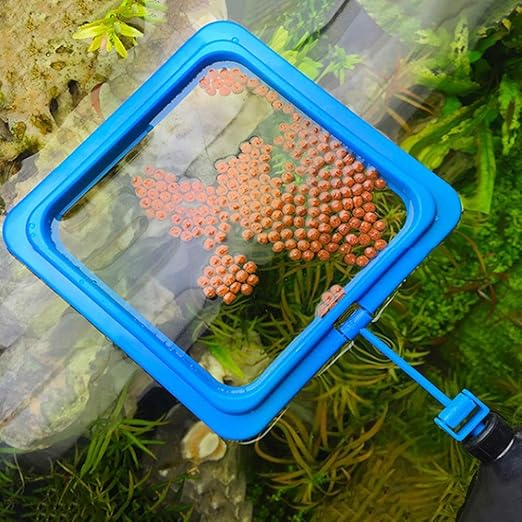 Mingfuxin FischFutterring quadratisch schwimmend für Schildkrötenteich