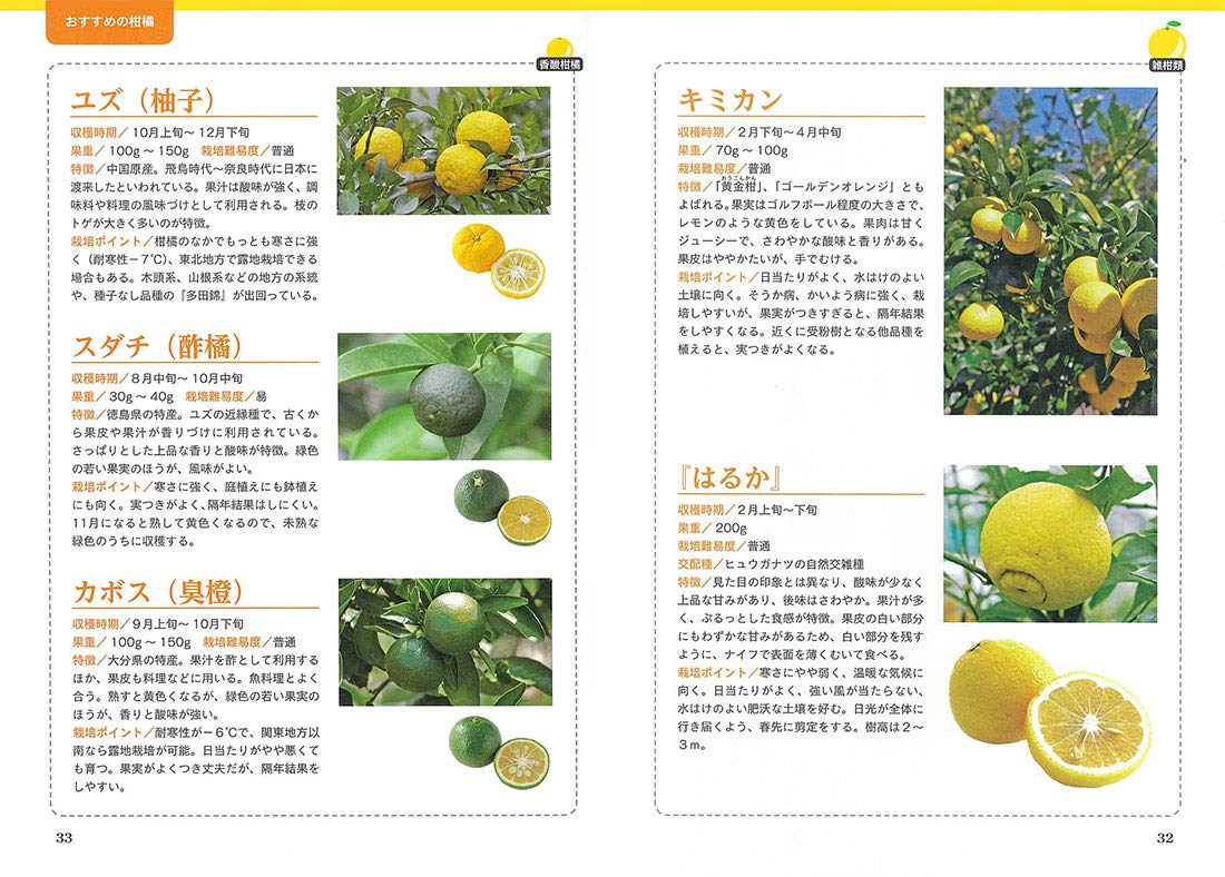 家庭でできる おいしい柑橘づくり12か月 三輪正幸 本 通販 Amazon