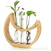 Ceiner Plant Propagation stations, Crescent Moon Table Terrarium Stand for Indoor houseplants, Wooden Wall Boho Hanging Planter Vase with Glass Test Tube for Office Decor Aesthetic, Gift for Women Mom