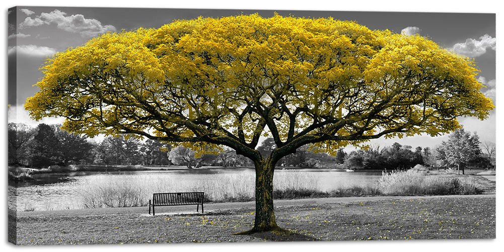 Best framed canvas pictures for living room