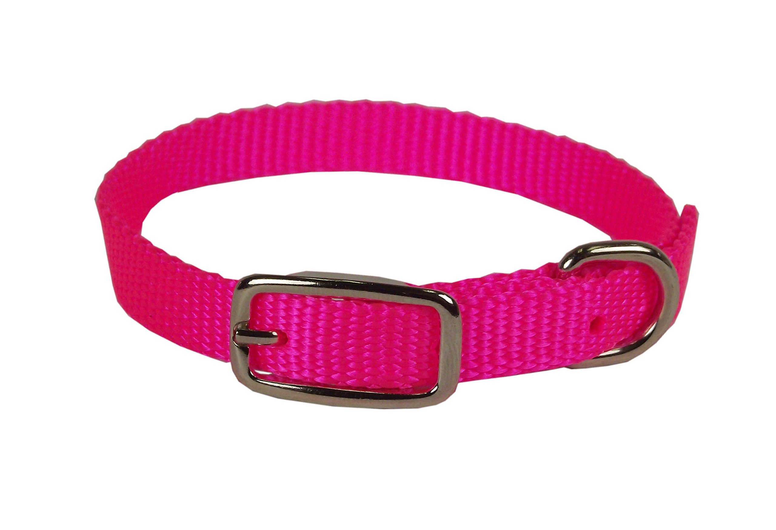 Hamilton Single Thick Nylon Deluxe Dog Collar 10Inch Hot Pink 13227070978 eBay