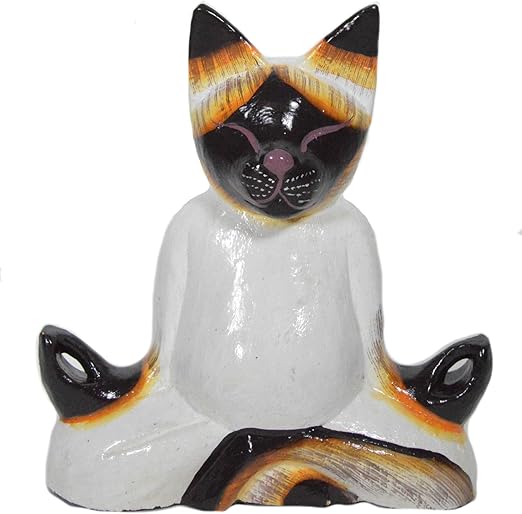 siamese white kitten