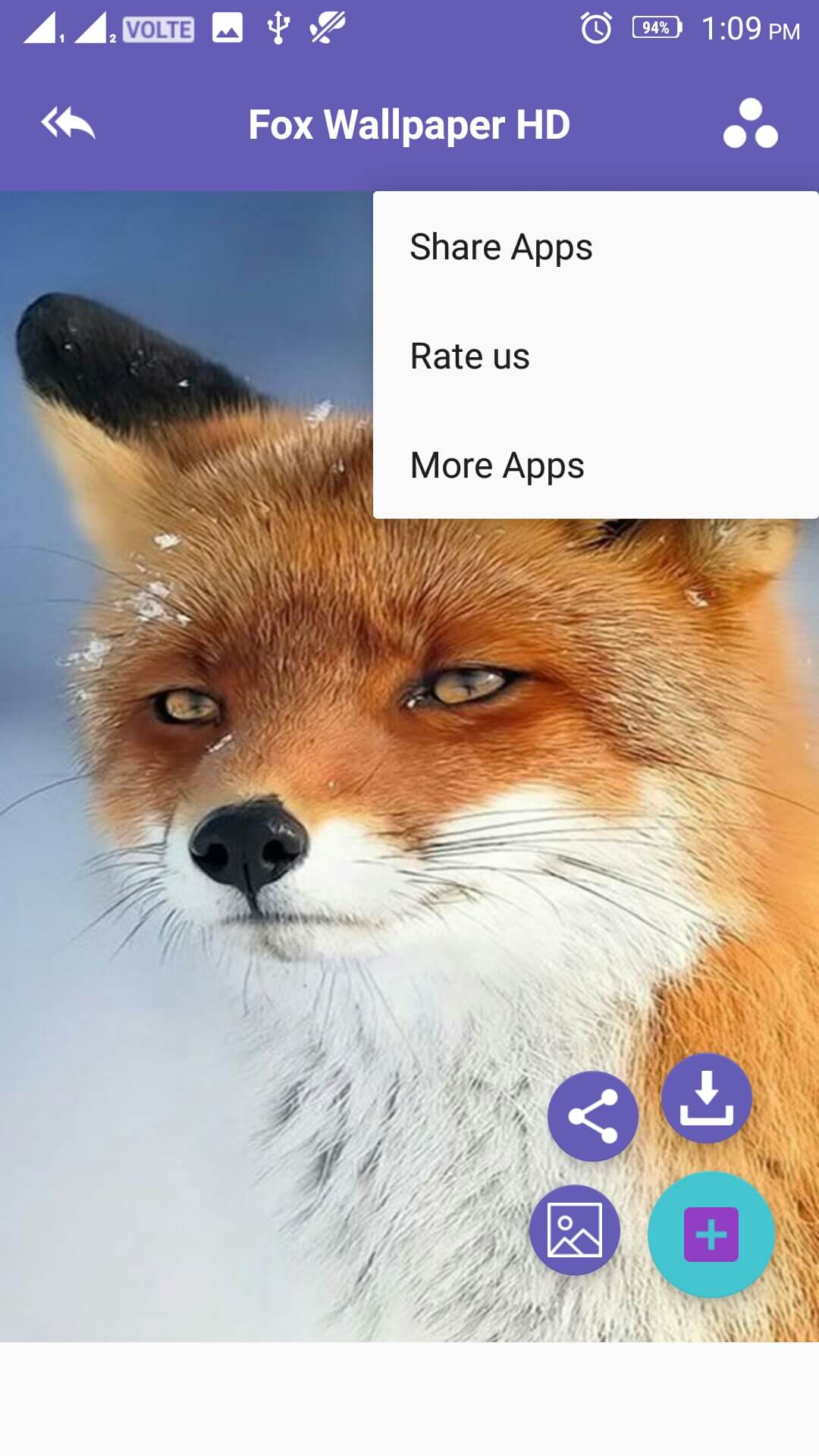Fox 4k Wallpaper Amazon Co Jp Appstore For Android