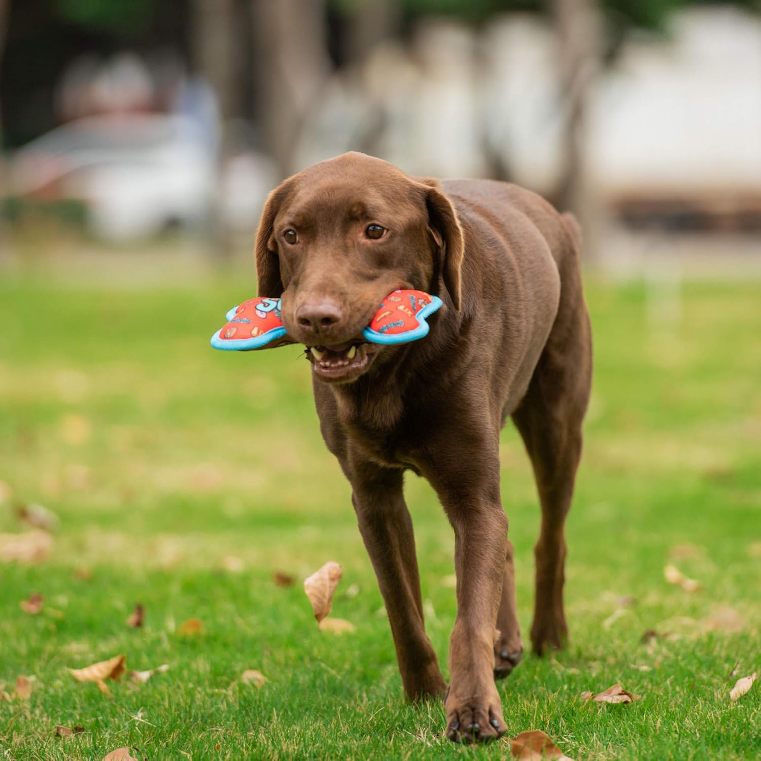 ScoobyDoo Dual Sided Munchies Oxford Bone Chew Toy