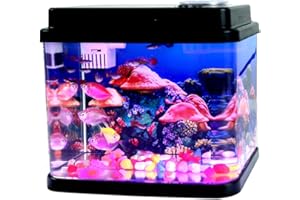 TOYCOL Mini Fish Tank Small Aquarium 1 Gallon Fish Bowl 6 Color Auto-Looping Light 3 in 1 Quiet Pump with Filteration & Oxygenation & Circulation,Submarine Background,Thickened Base