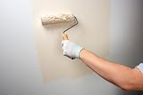 Dryzone Anti Mould Paint 5L Magnolia Emulsion Mould Resistant 5 Years view 6