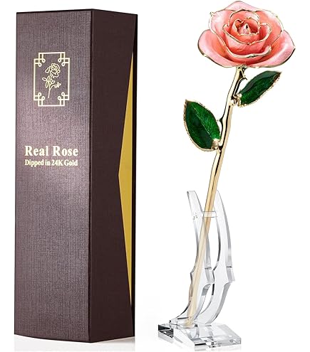 Amazon.com: ENJOYPRO Valentines Day Gifts for Her, Real Rose