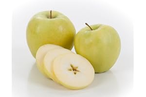 KAUFFMAN'S FRUIT FARM & MARKET Kauffman Orchards Fresh-Picked Ginger Gold Apples (Box of 8)