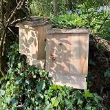 Selections Large Wooden Bat Nesting Roosting Boxes Single Chamber Grooved view 4