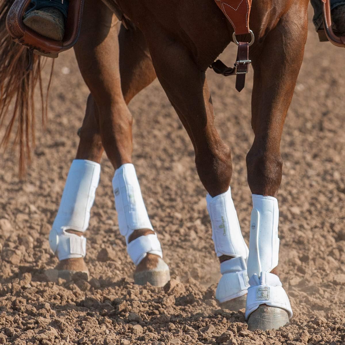 classic equine pro tech boots
