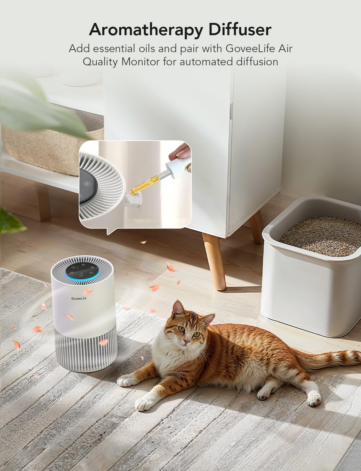 GoveeLife Smart Air Purifiers for Bedroom, Portable Filter Cleaner with WiFi Alexa Control for Pet Hair Odors Pollen Smoke, 24dB Quiet Air Purifier with 3 Speeds, Timer, Aromatherapy for Desktop