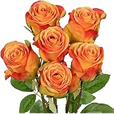 Briful Roses Artificial Flowers– 6PCS 18.9" Orange Rose Silk Flowers with Long Stems Realistic Fake Rose Bouquet for DIY Wedding Arrangements Table Vase Centerpieces Home Event Decor