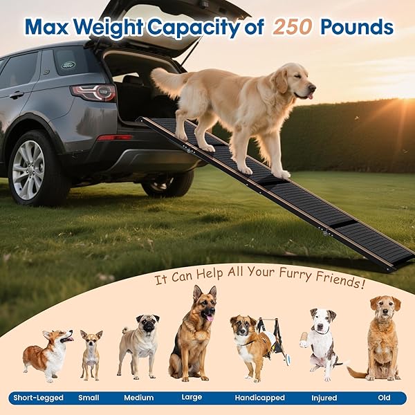HBTOWER 63″ LONG & 17.3″ WIDE FOLDING DOG RAMP FOR CAR, SUV & TRUCK – PORTABLE PET RAMP WITH NON-SLIP SURFACE, EXTRA WIDE STEPS FOR LARGE DOGS UP TO 250LBS