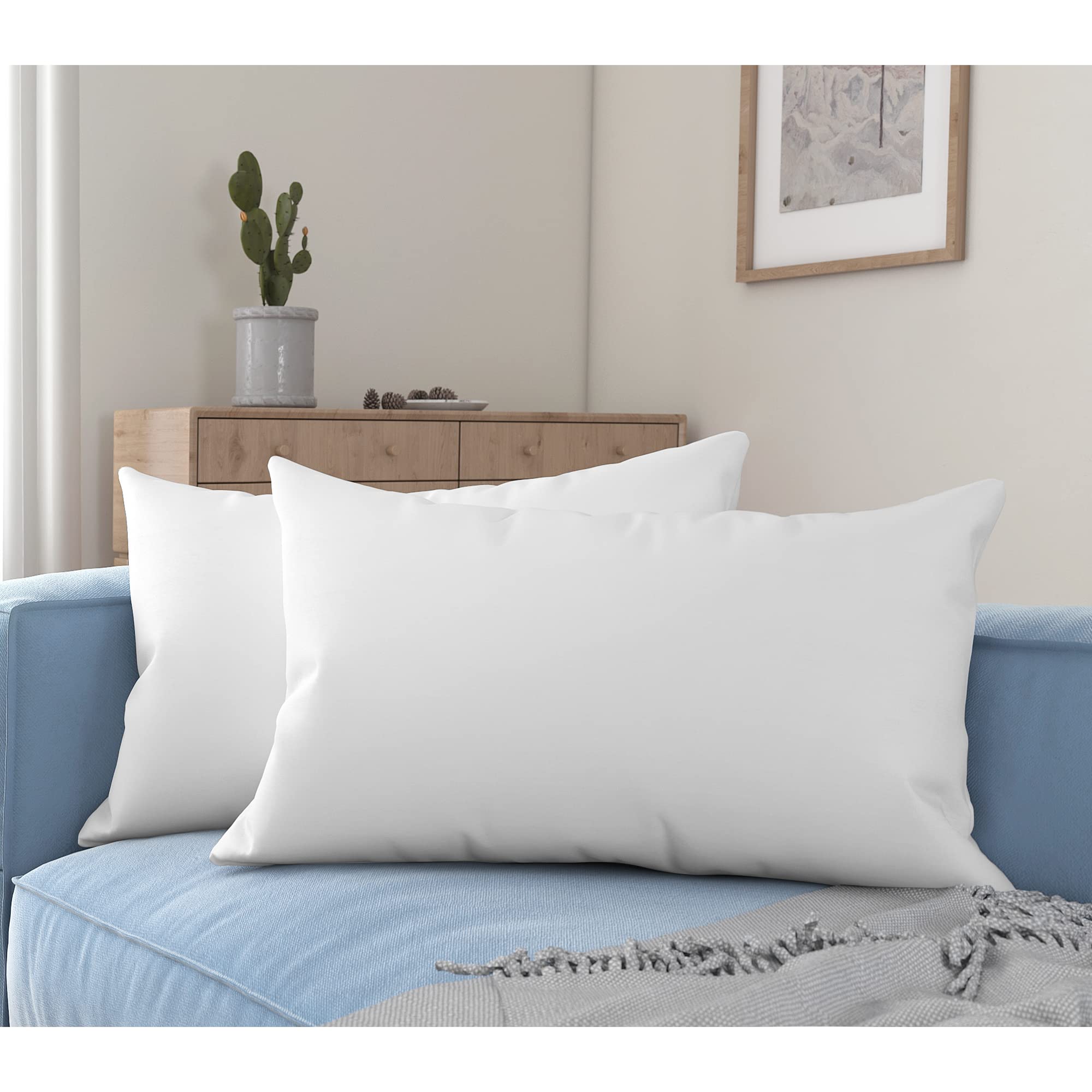 Premium Throw Pillow Inserts with Microfiber Filled Lumbar Support
