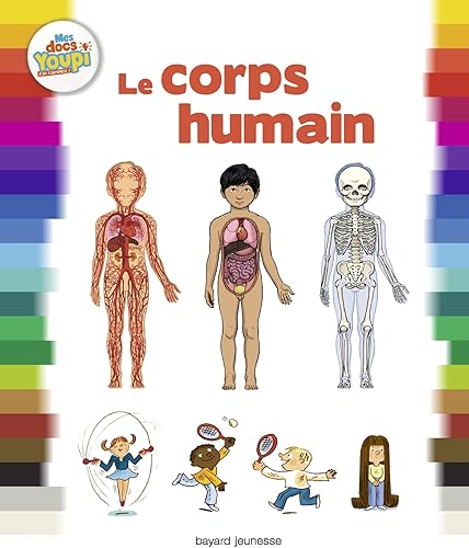 Download le corps humain PDF