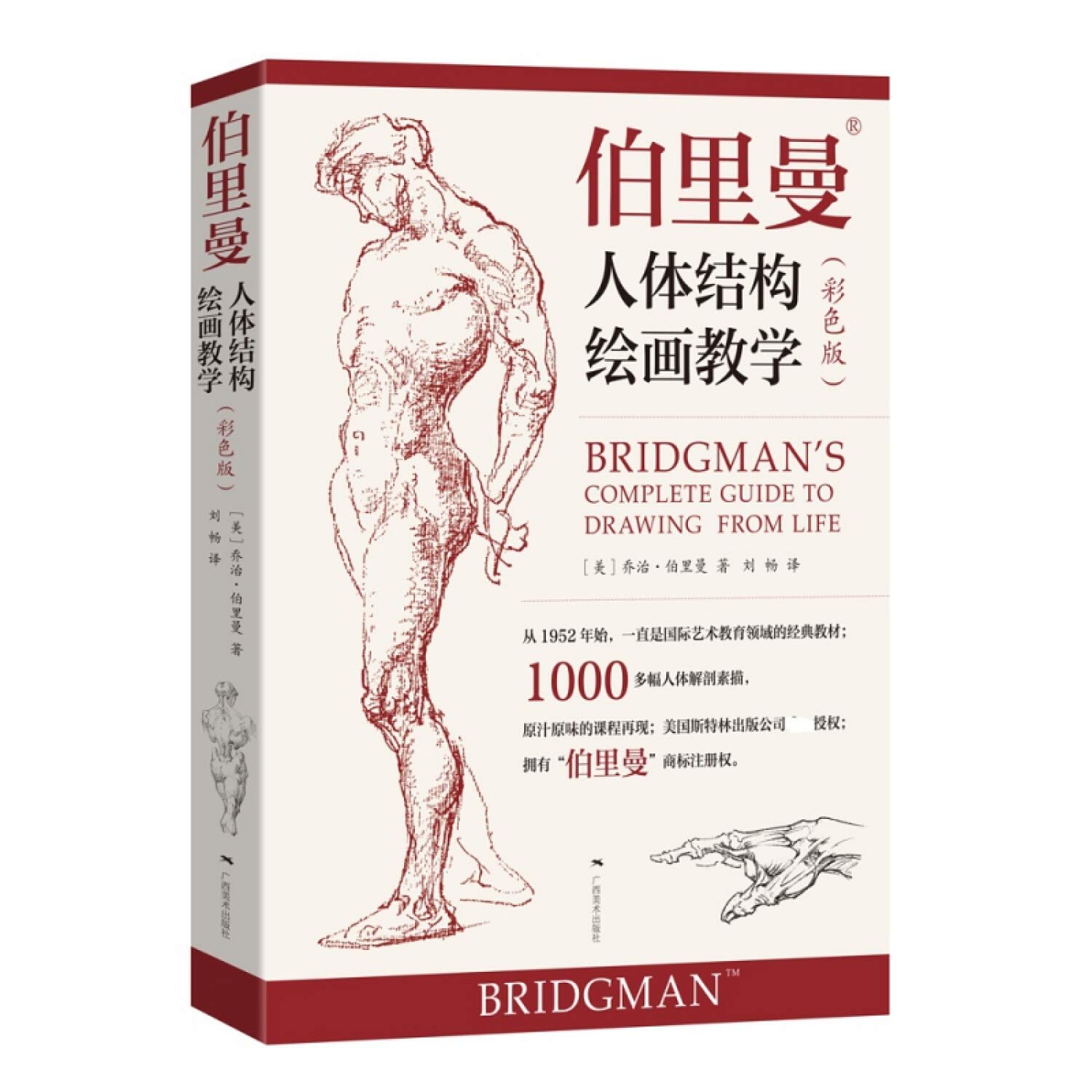 伯里曼人体结构绘画教学 彩色版 Amazon Co Uk 美 乔治 伯里曼 著 Books