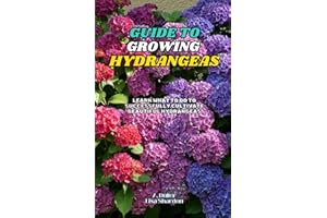 Guide to Growing Hydrangeas: Learn what to do to successfully cultivate beautiful hydrangeas