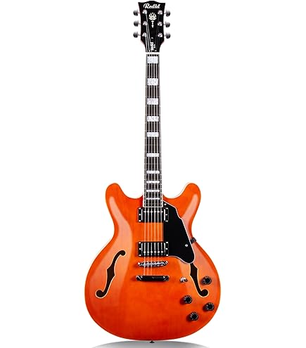 Amazon.com: D'Angelico Premier SS Semi-hollow Electric Guitar