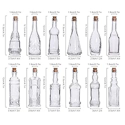 eleganttime Potion Bottles with Cork,12 Pack Small