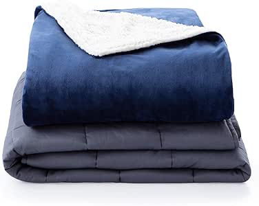 Lot Detail - QUILITY 15 LB WEIGHTED BLANKET