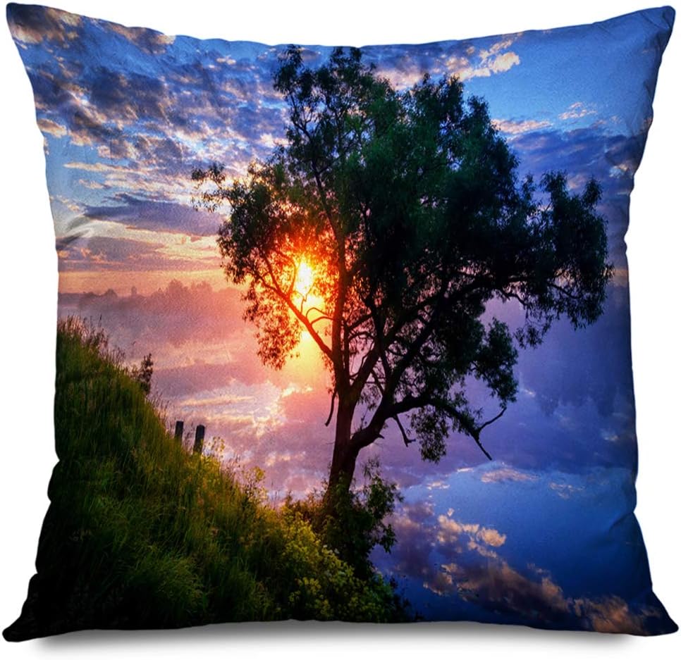 FAREYY Throw Pillow Cover Square 18x18 Inches Sky Sun Sunlight Through Branches Tree Dawn On Nature Smoke Beauty Cloud Dawning Daybreak Daylight Zippered Pillowcase Home Decor Cushion Pillow Case