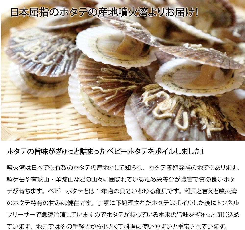 Amazon ボイルベビーホタテ 5kg 100 0粒 Kg 森町 森水産加工業協同組合 道南地元市場 貝類 通販