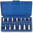 13 Pc Ribe BIT Drive Driver Set for Socket Tool Set Kit M4 to M16 Polydrive Poly
