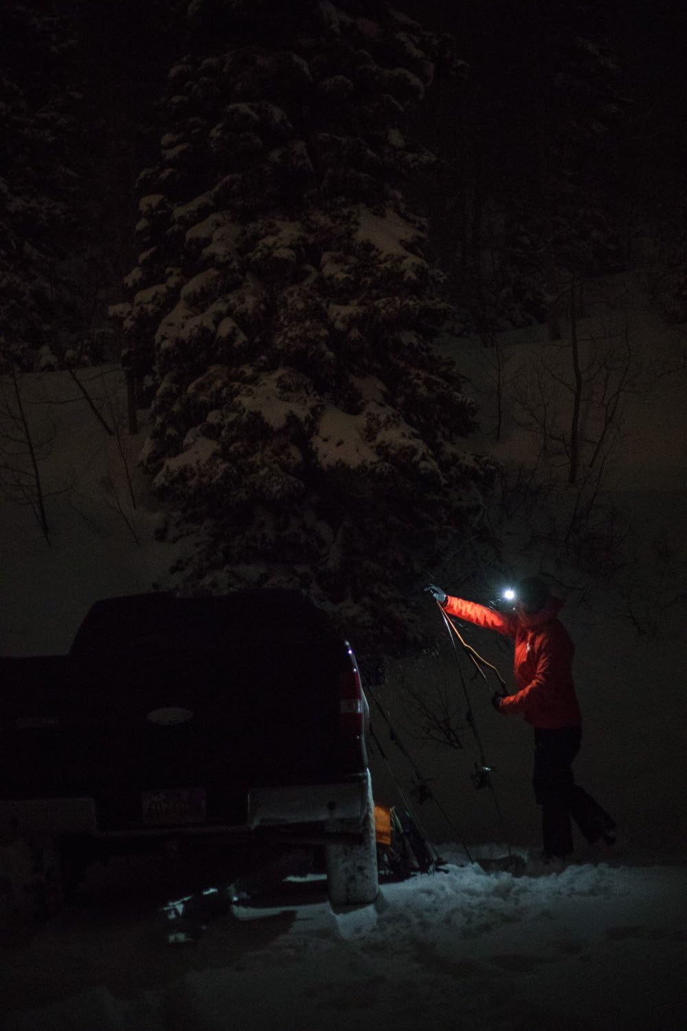 Black Diamond Storm Headlamp, One Size, Octane : Sports & Outdoors