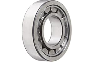 SKF NJ 206 ECJ Cylindrical Roller Bearing, Removable Inner Ring, Flanged, High Capacity, Steel Cage, Metric, 30mm Bore, 62mm 