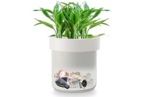 GENERIC Younion Flower Pot Diversion Safe with Key Lock, Secret Hidden Safe Lock Box, Perfect for Hiding The Valuables Inside Flower Pot’s False Bottom, Plants Not Include