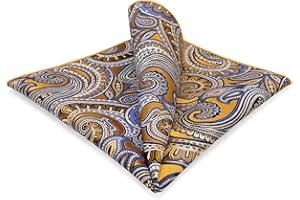 S&W SHLAX&WING Pocket Squares for Men Assorted Paisley Patterns for Suit Jackets Business Style XL