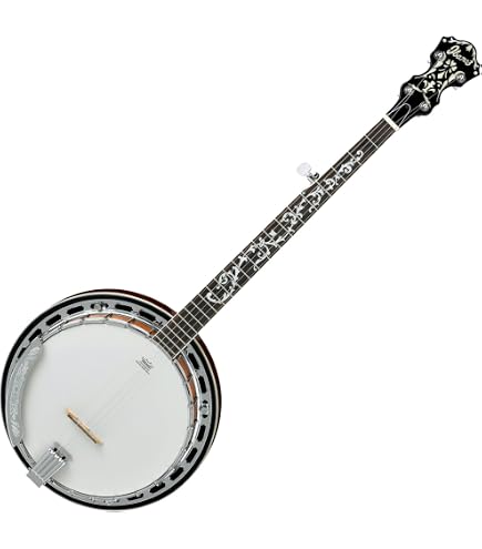 Amazon.com: Washburn Americana Series B9-WSH-A 5 String Banjo