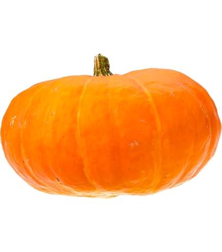 kabocha　2点Ｍ Kabocha - Wikipedia