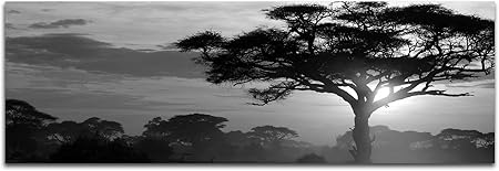 Toile Photo Comme Panorama Noirblanc 120 X 40 Cm Afrique