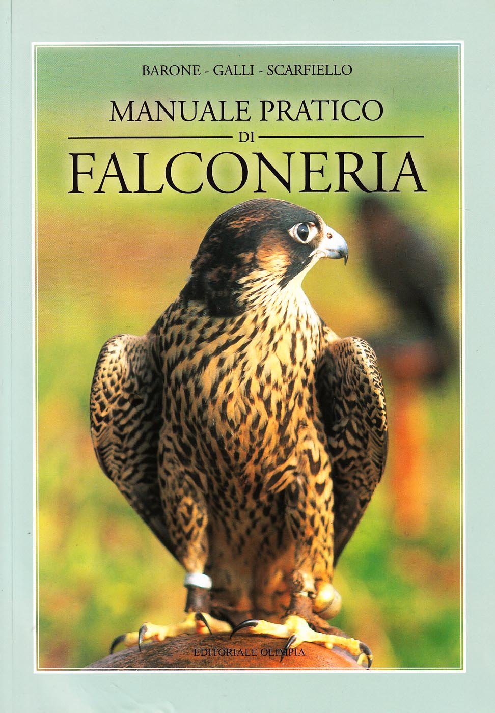 Verso Del Falco Per Allontanare I Piccioni