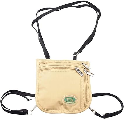 amazon travel safe purses