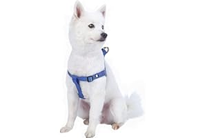 Blueberry Pet Essentials Step-in Dog Harness, Medium Size | Adjustable Marina Blue Vest | Classic Solid Nylon for Boy & Girl Dogs, Chest Girth 20" -26"