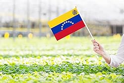 50 Pack Venezuela Venezuelan Flags on Stick - Mini