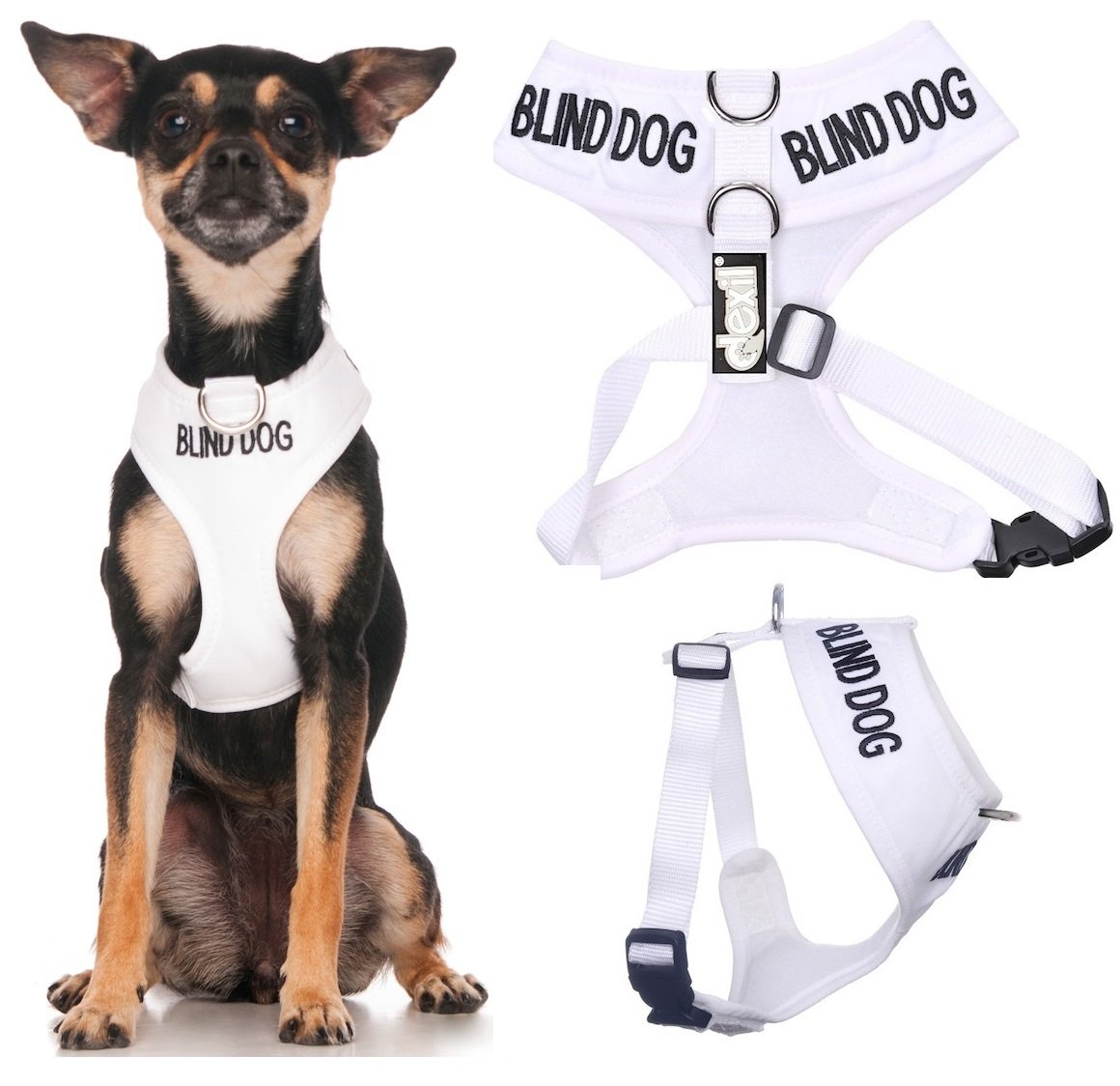 Dexil BLIND DOG (Dog Has Limited/No Sight) White Colour Coded Non-Pull Front and Back D Ring Padded and Waterproof Vest Dog Harness PREVENTS Accidents By Warning Others Of Your Dog In Advance (XS)