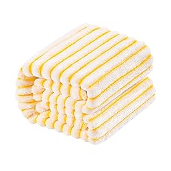 NTBAY Plush Soft Flannel Baby Blanket, Warm and