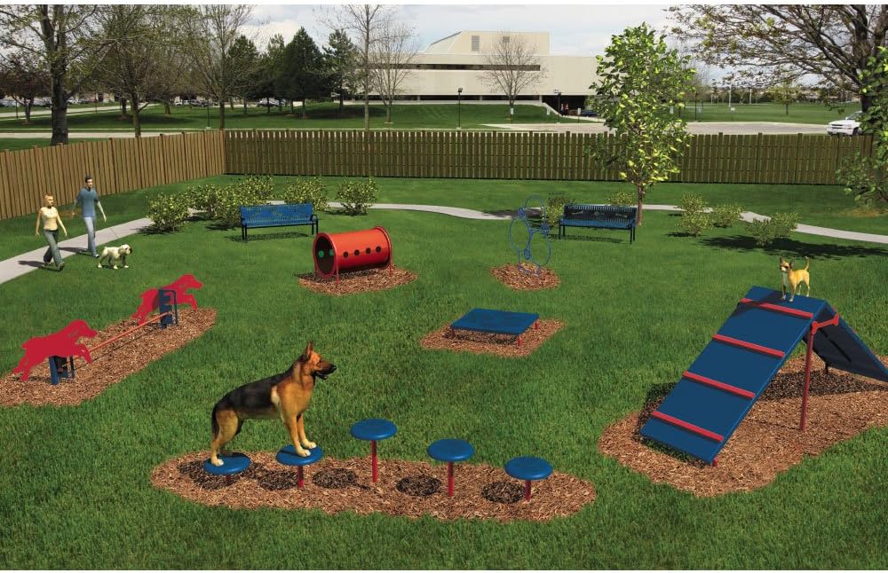Dog agility course set Clearance