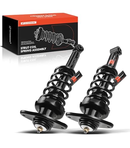 Amazon.com: Bilstein 22-215895 Strut Assembly (B4 OE Replacement