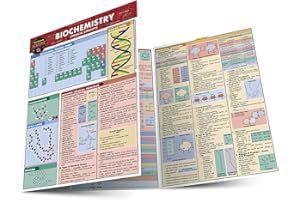 Biochemistry: a QuickStudy Laminated Reference Guide